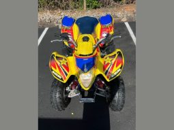 2008 Suzuki LTZ250 full